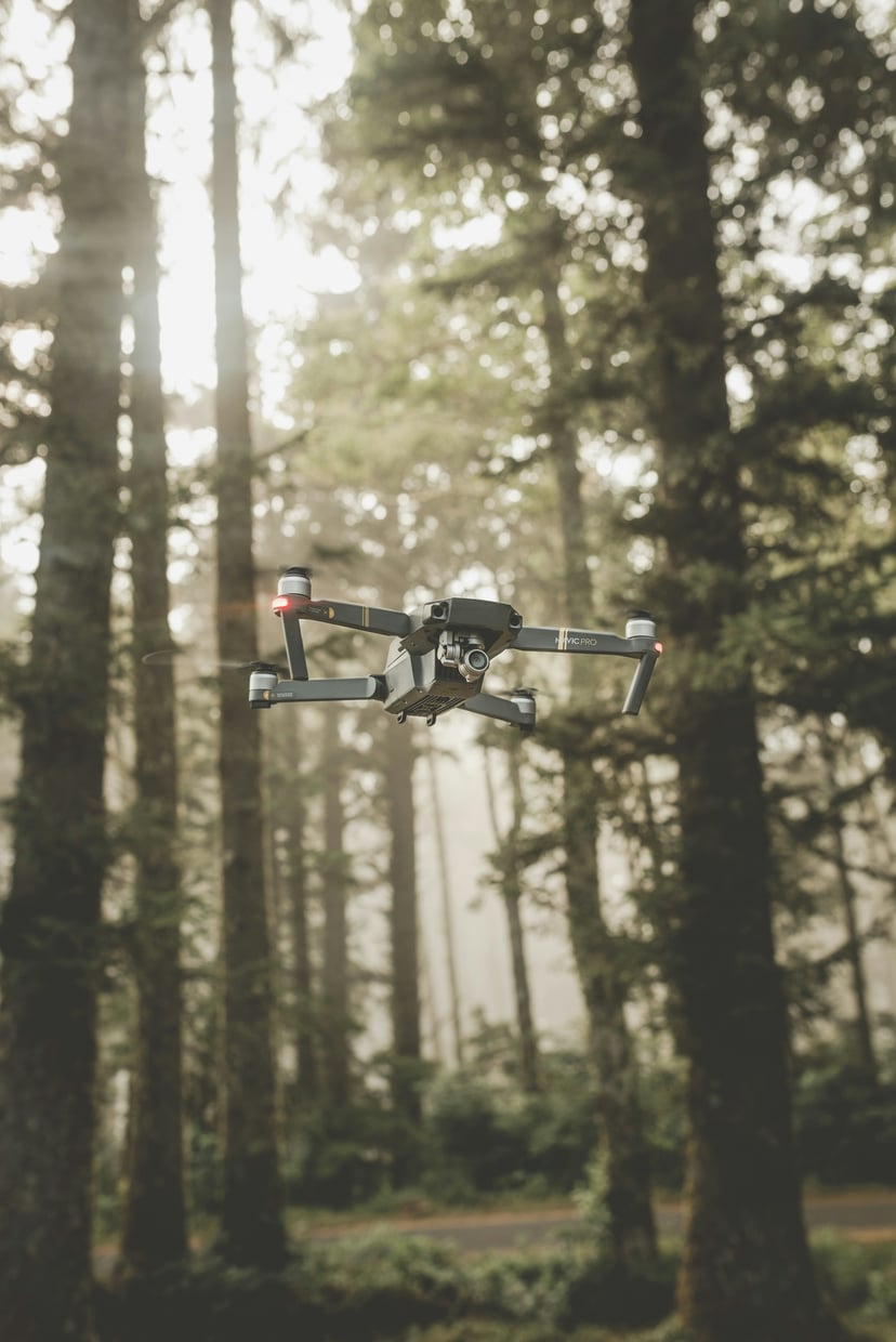 Drone Training Session